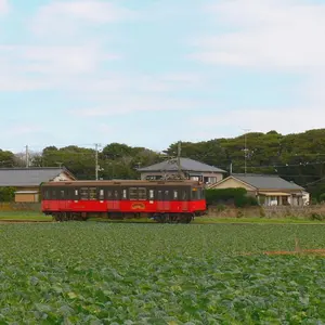 アスチュート ムーン ピラルガ ASTUTE MOON PILARGA - メルカリ