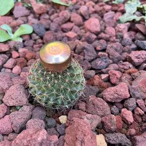 値下げ中】ウェットスーツラック ウェアーラック ラック ハンガー