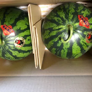 農家直送❗️熊本県産大玉スイカ羅王ザスイート - メルカリ