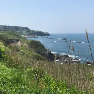 登竜門】DVD 2〜10の門⭐︎アムウェイ ♪山崎拓巳⭐︎山崎義幸 - メルカリ