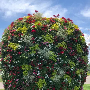 添加剤 再生剤 ウルトラパワーゴールド 4ℓ 4000ml - メルカリ