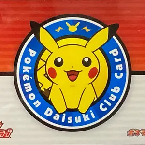 PSA10 灰原哀 2024 #003 SRCP 名探偵コナンカード コミパラ - メルカリ
