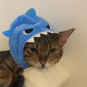 Kzy様専用】コロナ 石油ストーブ GH-B170N - メルカリ