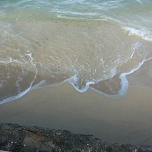 back number ドームツアー2018 ガチャ 缶バッジ - メルカリ