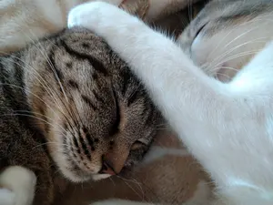 トランシーバー 昭和レトロ 日立 CH-580 希少 レア - メルカリ