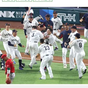 SUREFIRE 6p、バルブASSY、3vリチウム電池4本、ホルダーset - メルカリ