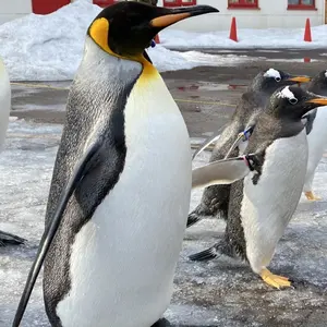 かんたん!プランター菜園コツのコツ : 上岡流写真図解でわかる逸品