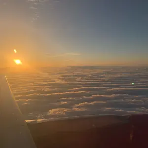 f.wu様専用 TENtoTEN whatwewant バタフライテーブル - メルカリ