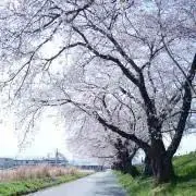 2本セットDCLAW ビーコン180 ブルーバック ビーコン210 ピンクバック