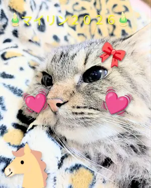 マジレンジャー マジレッド FRPマスク アトラク 特撮 コスプレ 1/1 マジレンジャー マジレッド FRPマスク アトラク 特撮 コスプレ 1/1