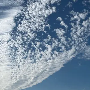 さささ