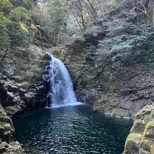 ピットスポルム emocafe 特典コースター 2点 三上志乃 先生 - メルカリ