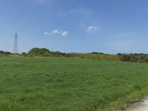 バナナウォーター