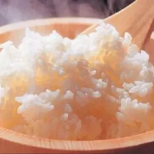 あきたこまち 10kg 農薬不使用 国産玄米 農家直送 単一品種 専用冷蔵庫