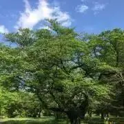 Green技研