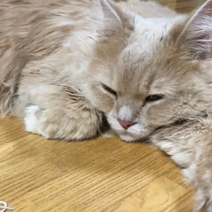 状態 かなり良い】 英語 参考書17冊 まとめ売り - メルカリ