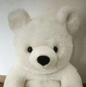 未開封】ミュンヘン・フィル創立125周年記念(17CD)自主製作 - メルカリ