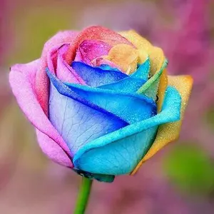 専用☆エルシンカ シャンプー 詰め替え 新品未使用 - メルカリ