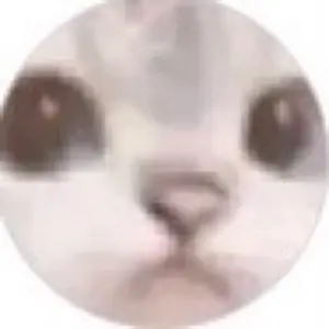 明雷らいと 武道館 コレカ サイン入り - メルカリ