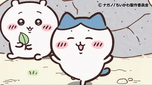 プロセカ ワンダショ 缶バッジ まとめ売り 天馬司 鳳えむ 草薙