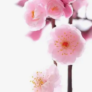 masamislipslikesuger様】リクエスト 4点 まとめ商品 - メルカリ masamislipslikesuger様】リクエスト 4点 まとめ商品 - メルカリ