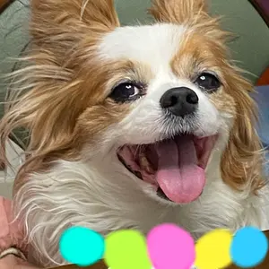 GLAY：非売品プロモCD】rare collectives vol.1 - メルカリ