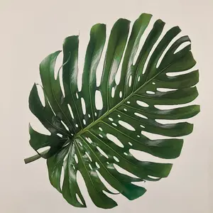 廃盤]四人囃子/Ride On See・Saw3枚組ボックス(UHQCD)美品