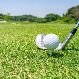 DUNLOP DP-301 マッスルバック スチールシャフト 9本セット - メルカリ