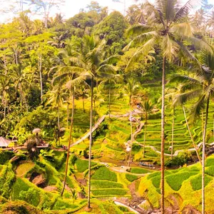 LINON※プロフ確認必須