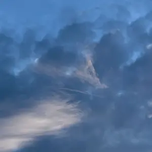 龍脈の精髄 クラスター 魂を浄化しご縁を結ぶ 売上一部保護猫活動に