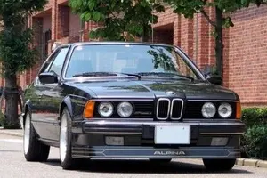 ミスターアルピナ