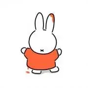 サンフレッチェ広島 青山敏弘 オンサイトカード - メルカリ