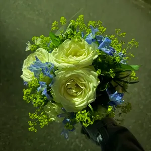即購入⭕️【値段交渉可能】即完品 らんくん tシャツ RADIANT - メルカリ