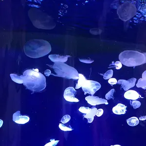 T*8様 タミヤ HOT SHOT(ホットショット) 未組立 ボディ塗装済 - メルカリ