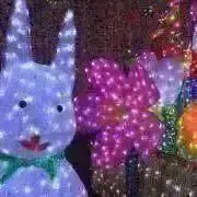 JURI☆購入前にコメントお願いします