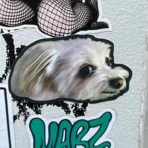 購入前にコメントください】マイペットモンスター1986 鎖 - メルカリ