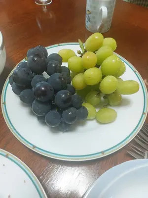 SéoCi 第2号 ソイングク - メルカリ