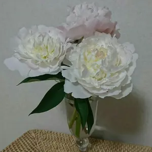 ebure 25SS ドライプリペラ ジャケット タグ付き 未使用 - メルカリ