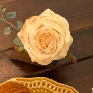 ①誓約缶バッジ アドニス - メルカリ