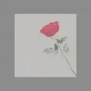 luz AMULET (Joker盤)CD+Blu-ray 特典トランプ付き - メルカリ