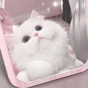 宵崎奏 ころっと オンリーショップ オリショ プロセカ アイディ