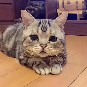 マリナリナルディ ブラックファーロングコート 肉厚 フェイクファー 裏