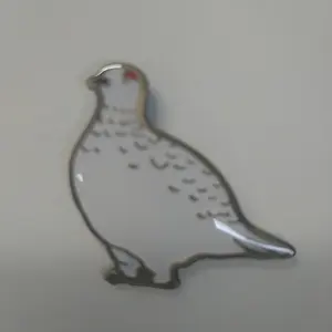 ナンヨウダカラ ナンヨウタカラガイ 8.3cm×5cm - メルカリ