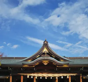 貴重⬛️ハイゴールド製品バット⬛️ウィングブロープロ硬式野球用