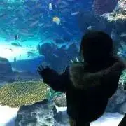 しょうまま☆プロフ必読お願いします。