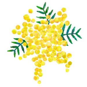 新品】CRANE L ネコスプーン 7種フルセット ルアー - メルカリ