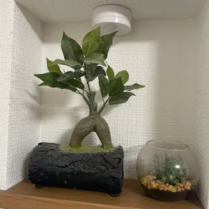 抹茶石臼 手動式 調理器具(G71) - メルカリ