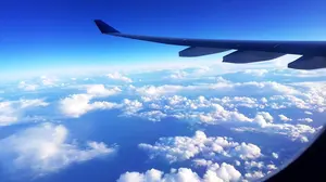 たそがれのミニマリスト