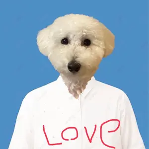 ココメロディ CW2988 2way ウエディングドレス プリンセス ホワイト