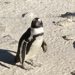 もとぴー※プロフ読んでください